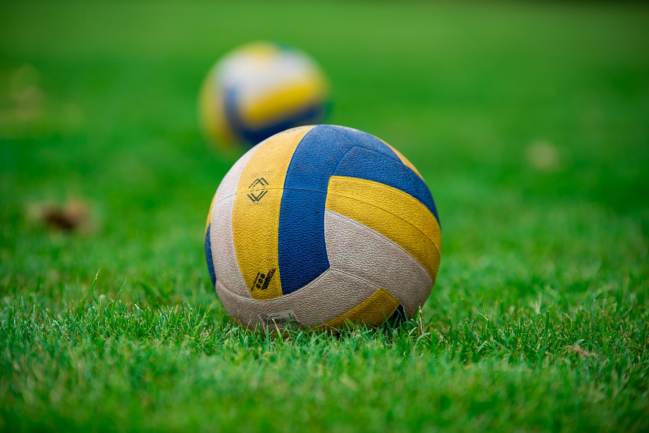 Volleyball,ball,sport,grass,play - free image from needpix.com