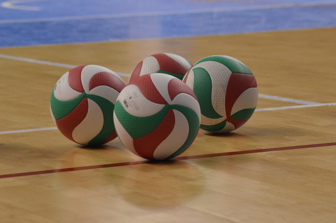 volleyball sport the ball free photo