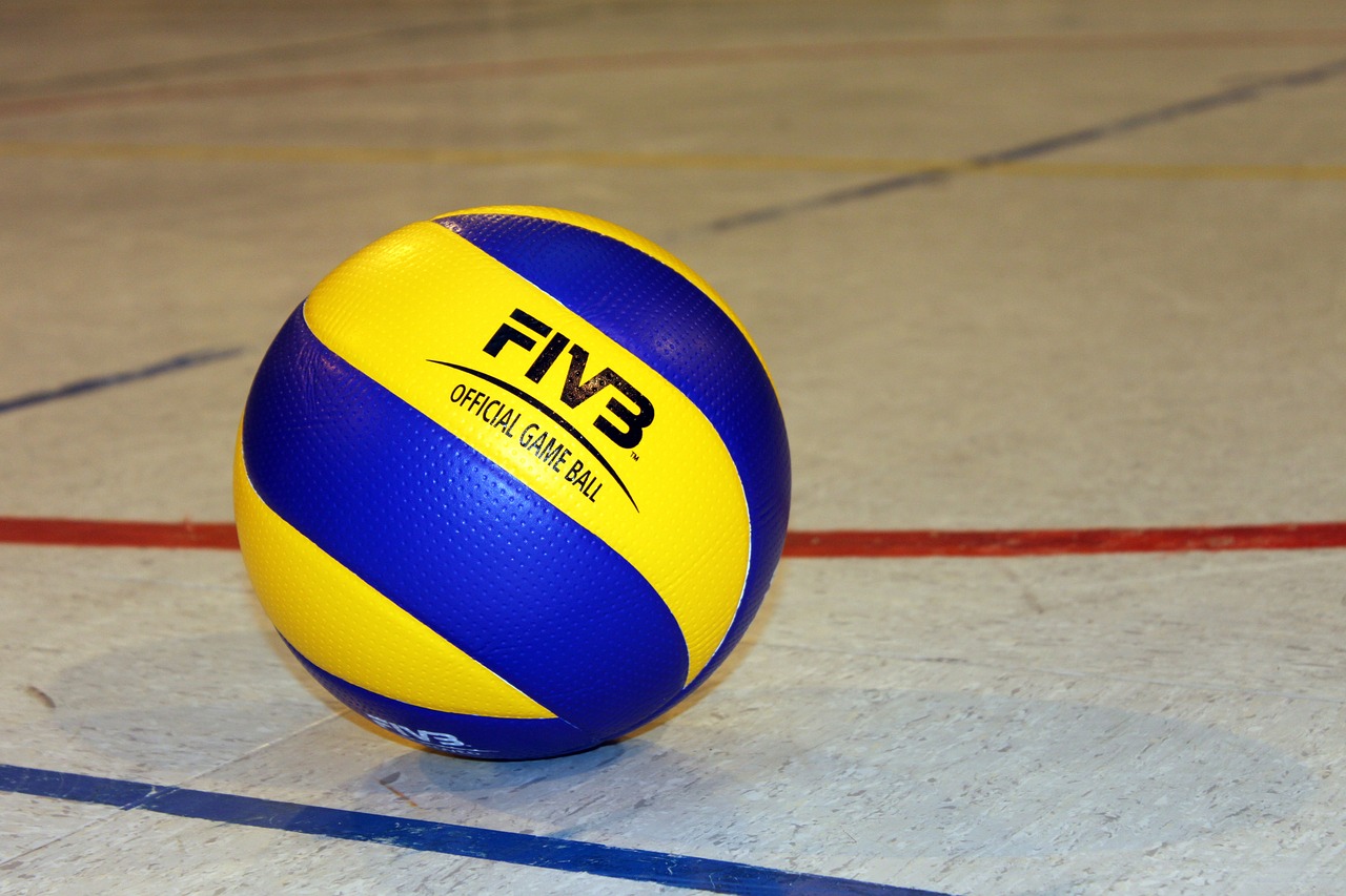 volleyball ball sport free photo