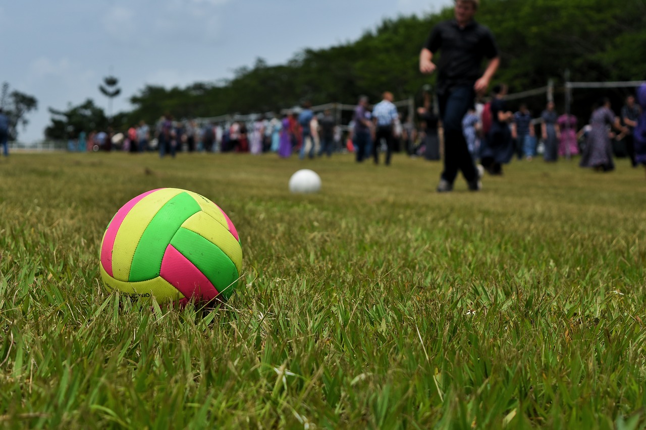 volleyball  round  sport free photo