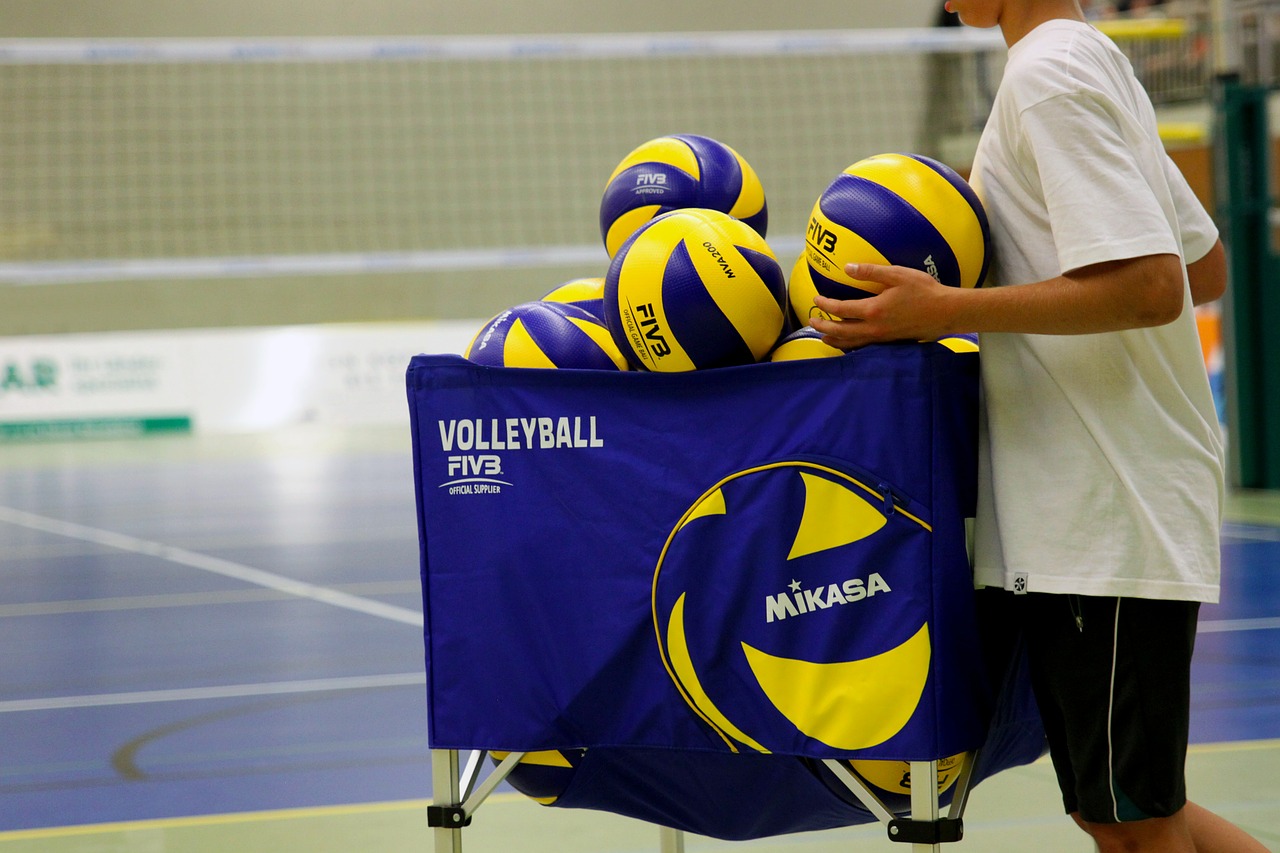 volleyball sport ball free photo