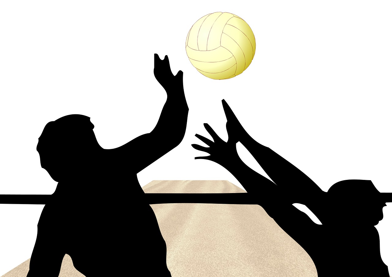volleyball ball network free photo