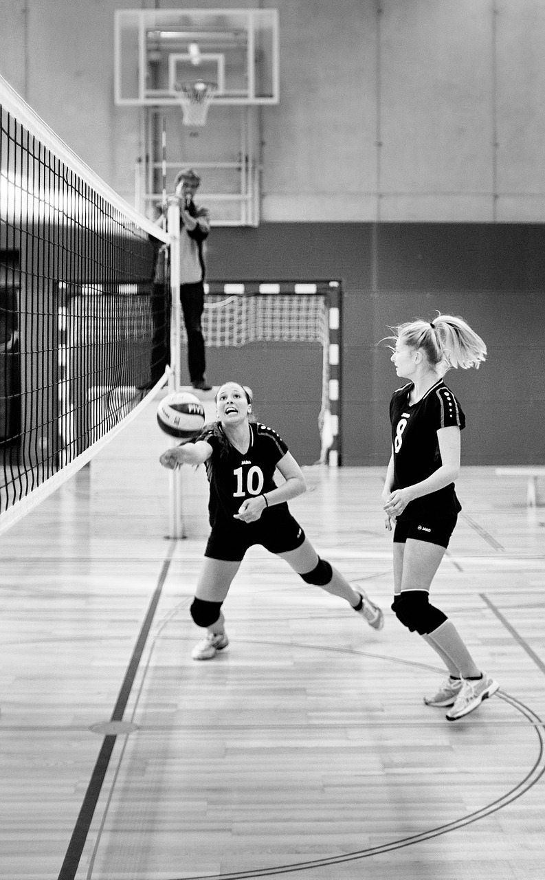 Volleyball,sport,ball,play,competition - free image from needpix.com