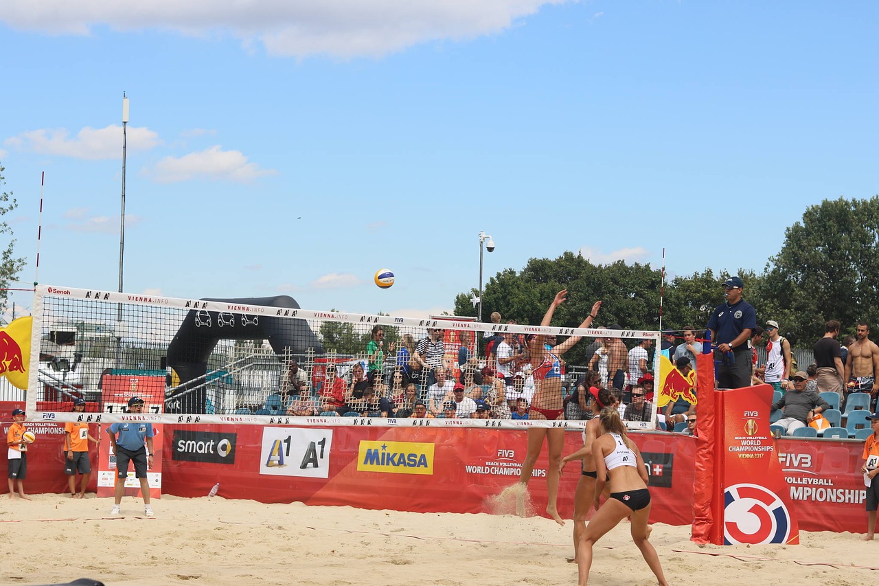 volleyball fans volleyball beach volleyball free photo
