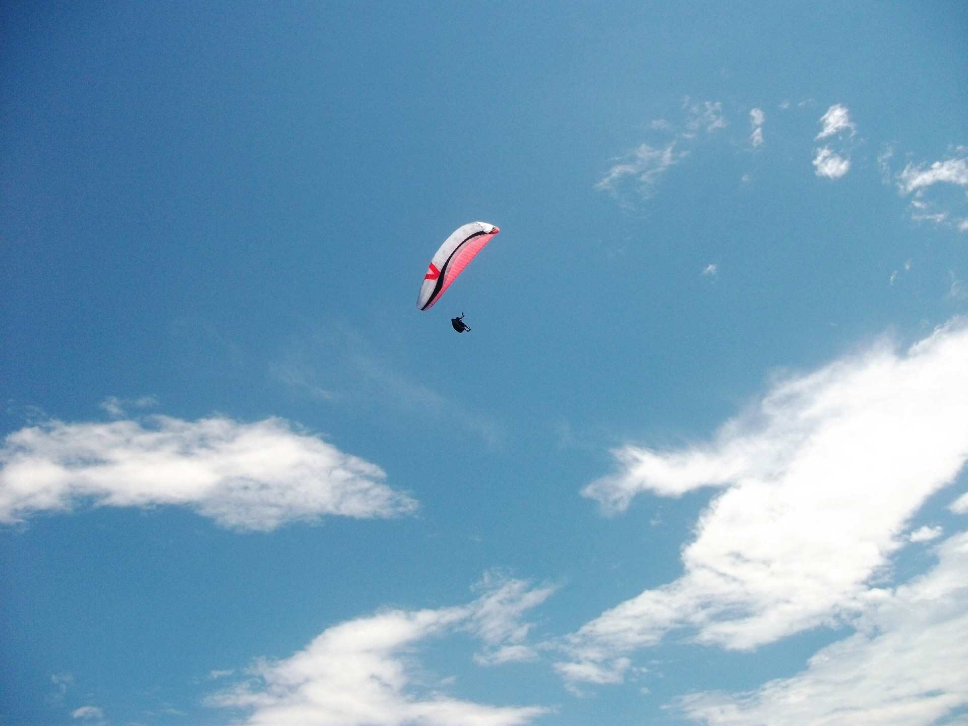paragliding soaring flying free photo