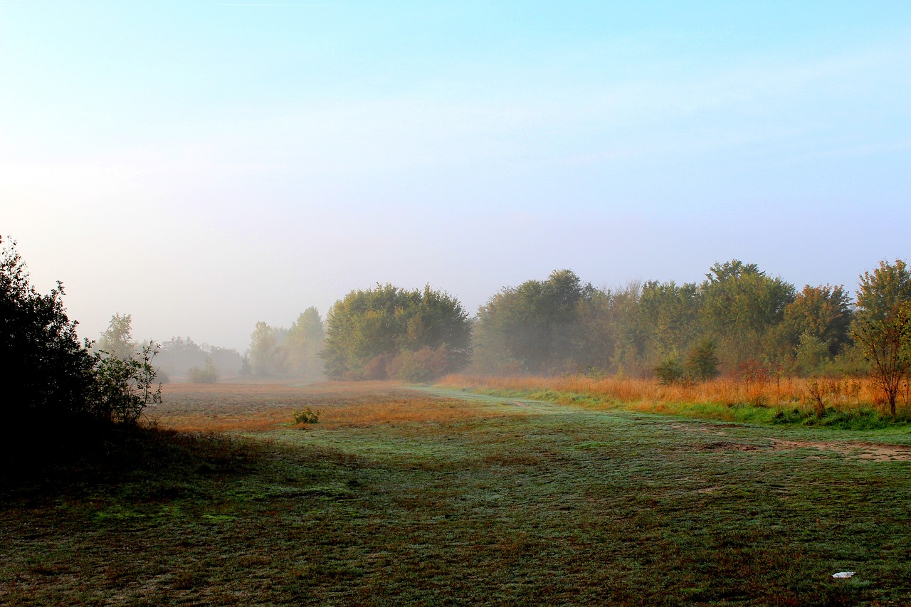 voorlanden  beach  autumn free photo