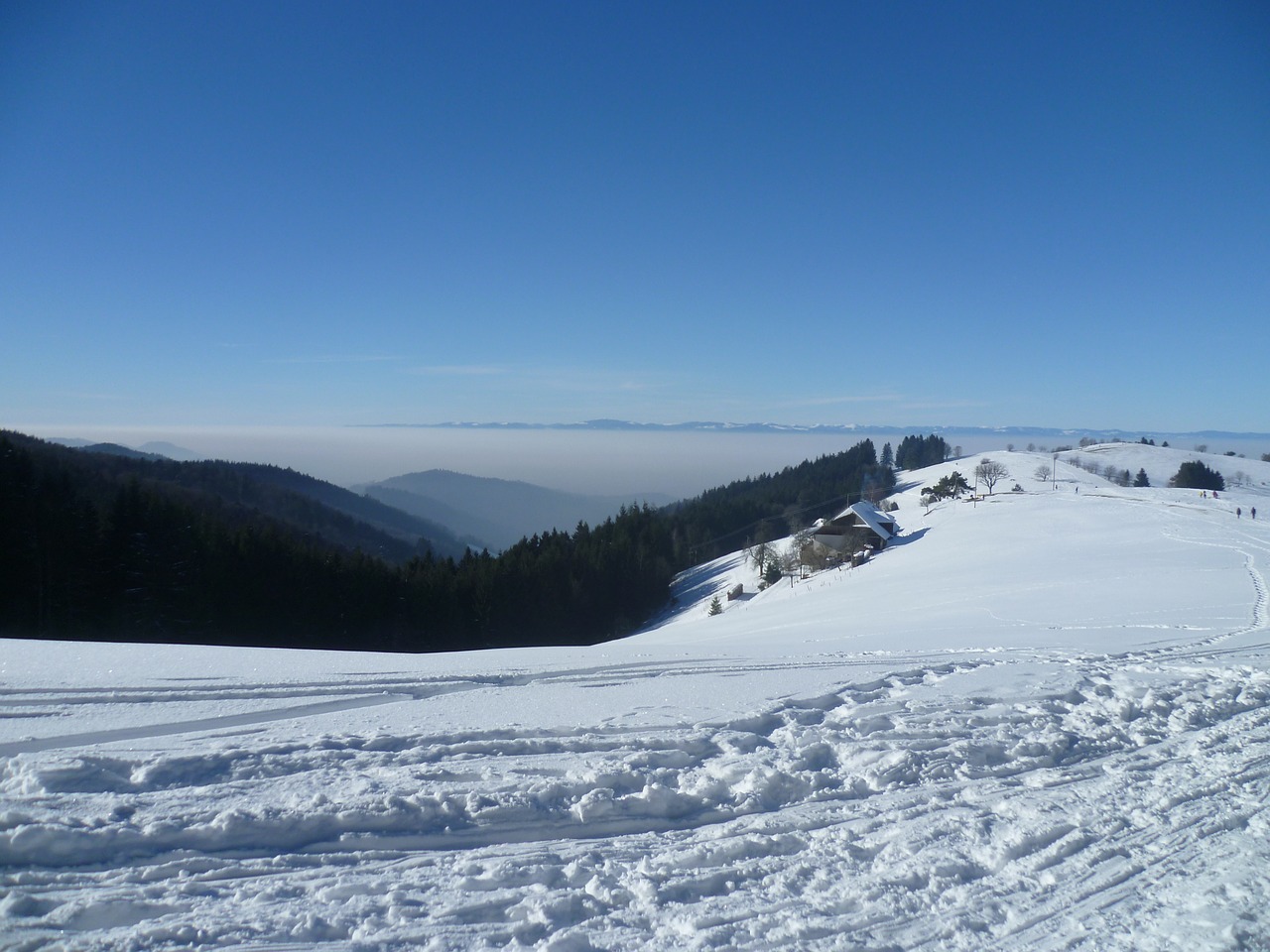 vosges snow winter free photo