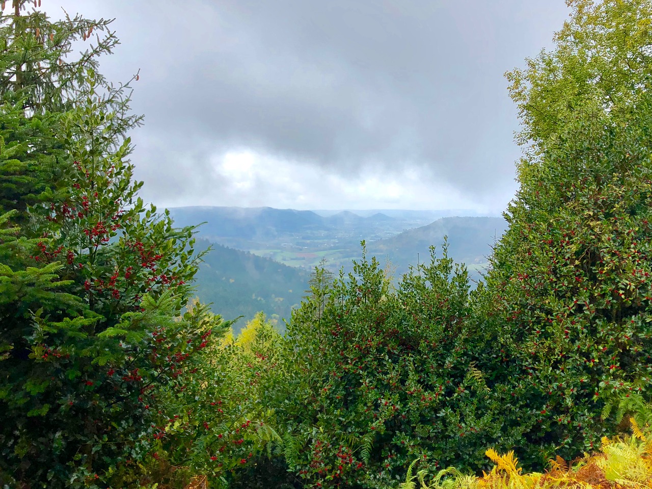 vosges  mountains  hulst free photo