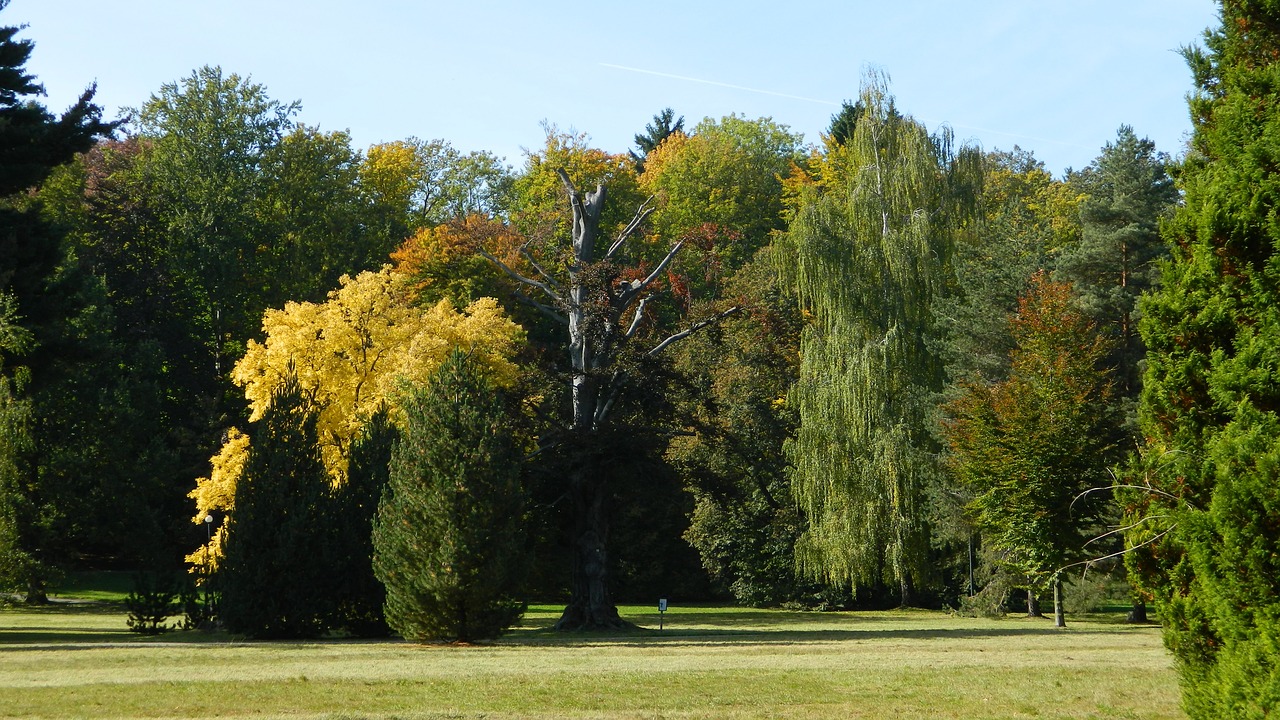 vrchlabi castle park autumn free photo