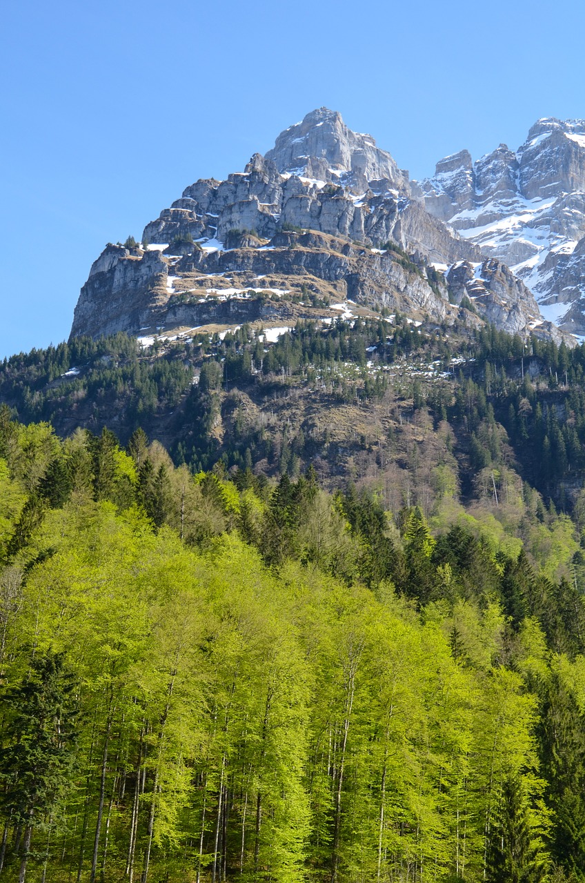 vrenelisgärtli  klöntal  mountain summit free photo