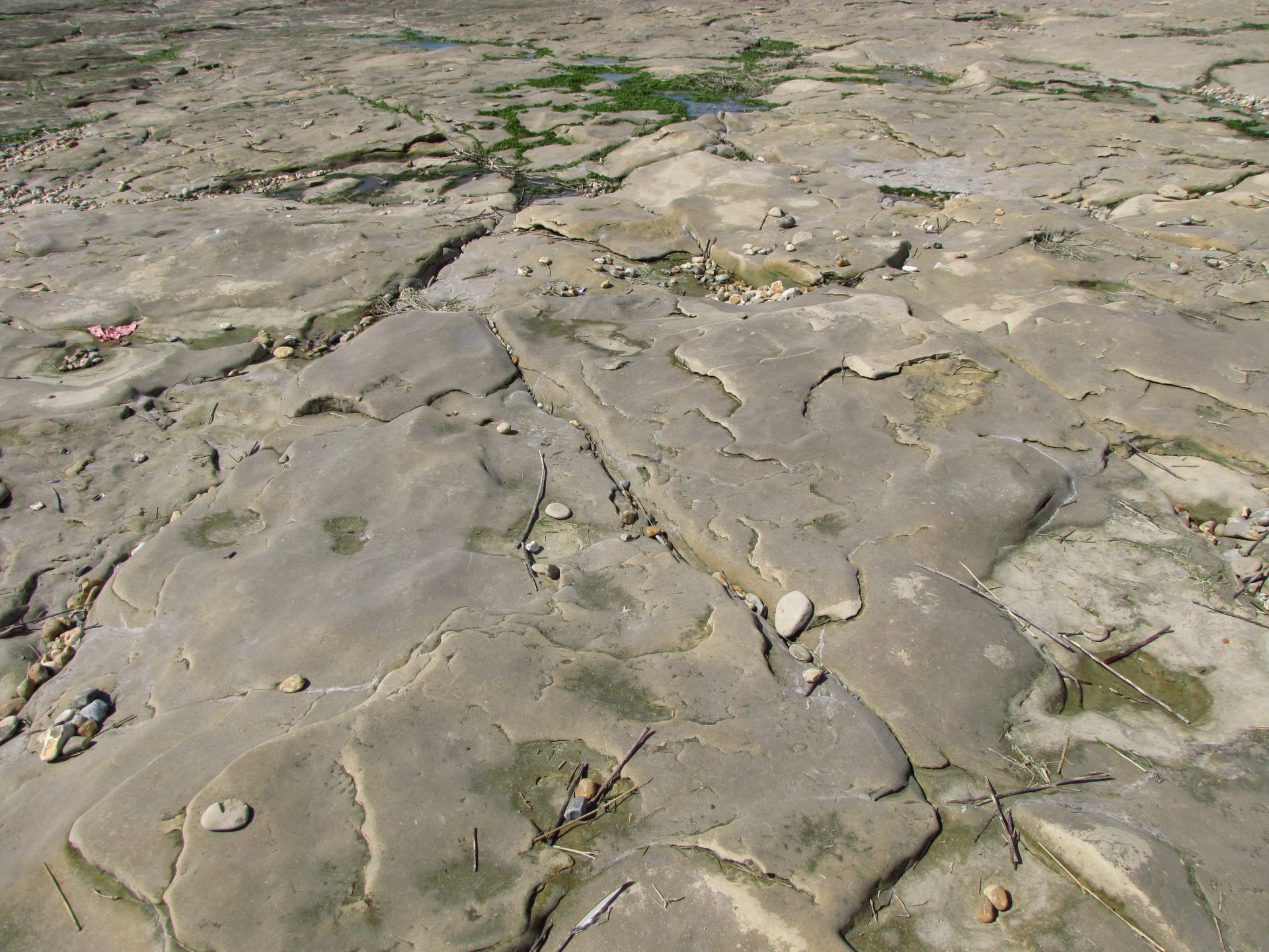 rock beach sand free photo