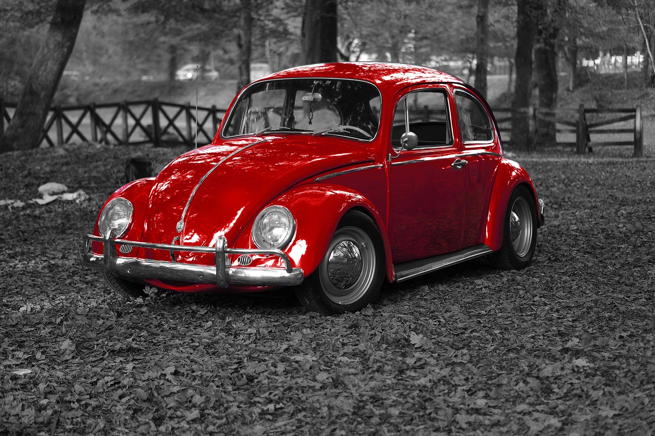 vw beetle bug free photo