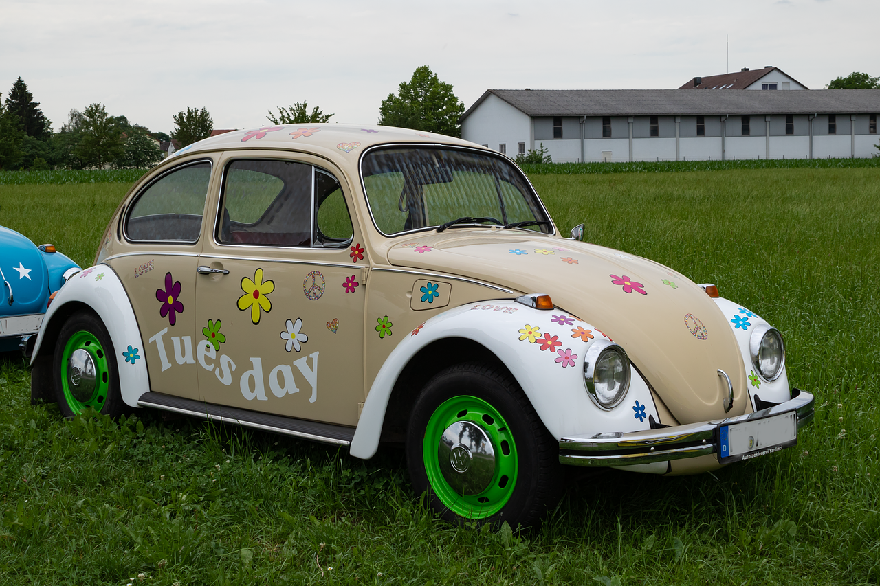 vw  beetle  volkswagen free photo