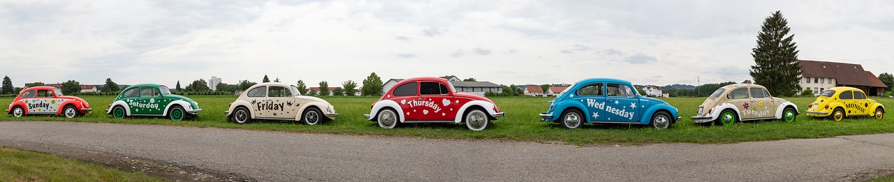 vw  beetle  volkswagen free photo