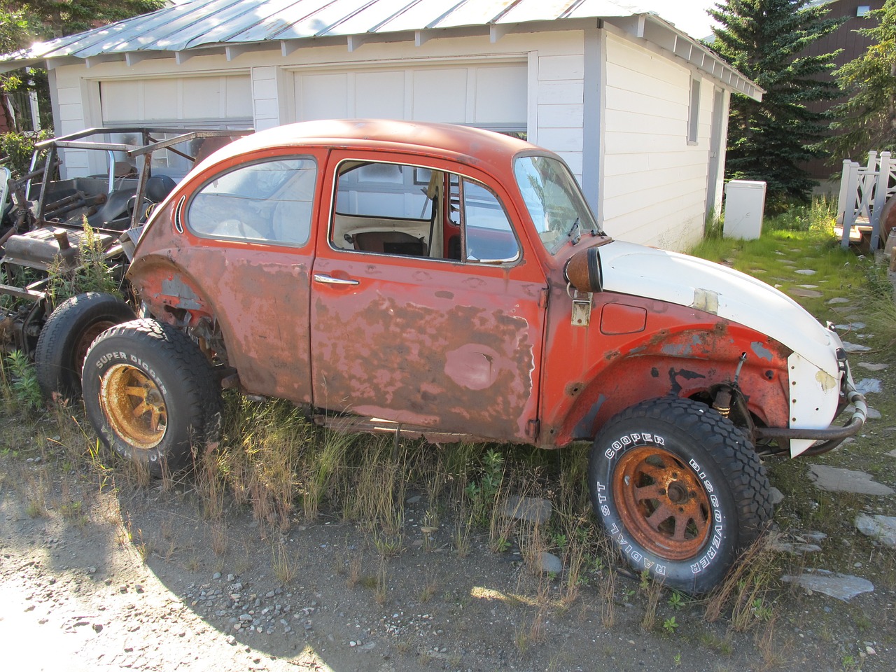 vw beetle car old free photo