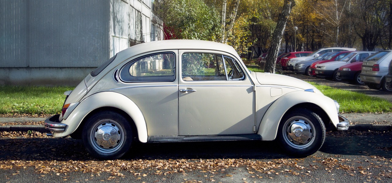 vw beetle vw vintage free photo