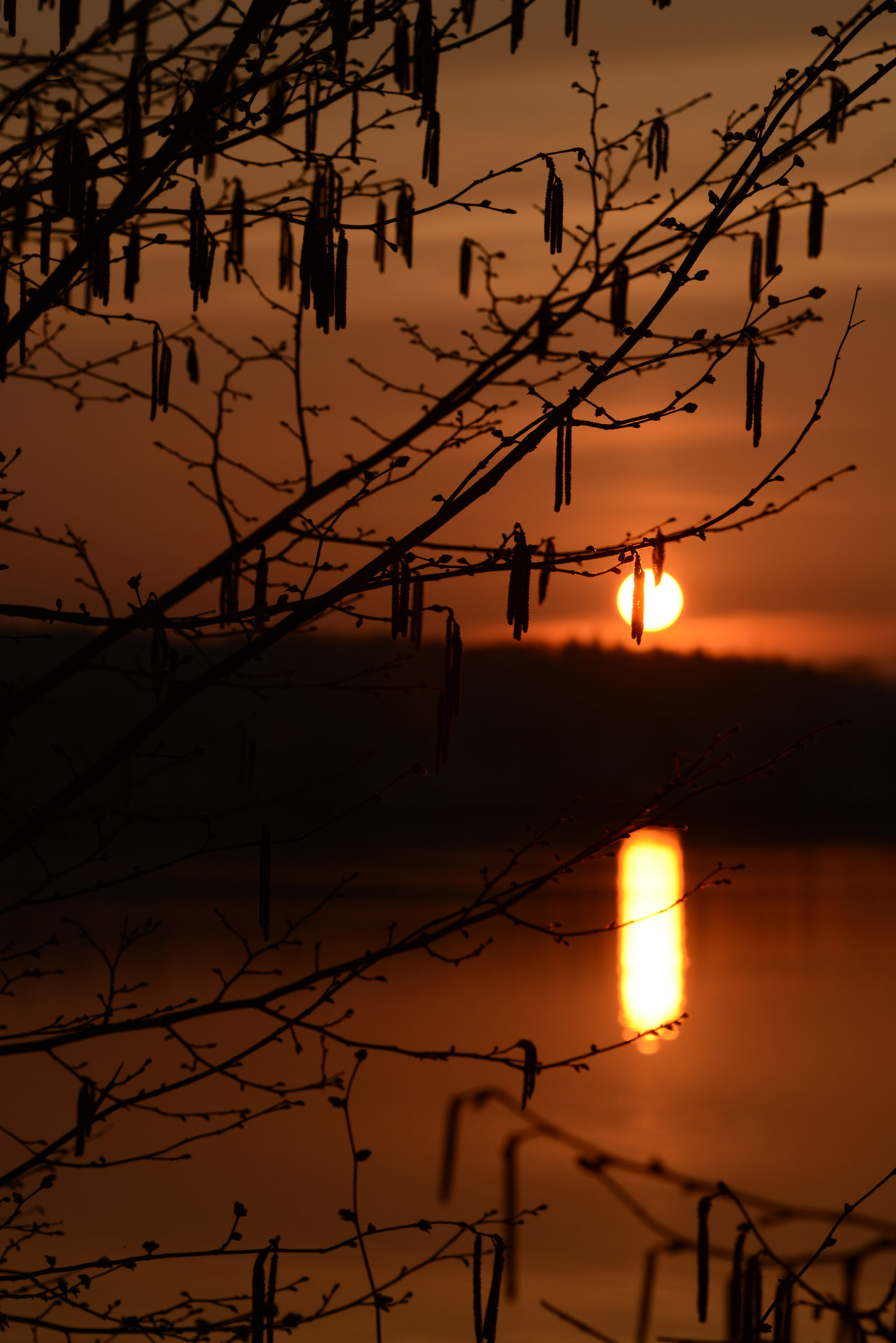 sunrise reflection pond free photo