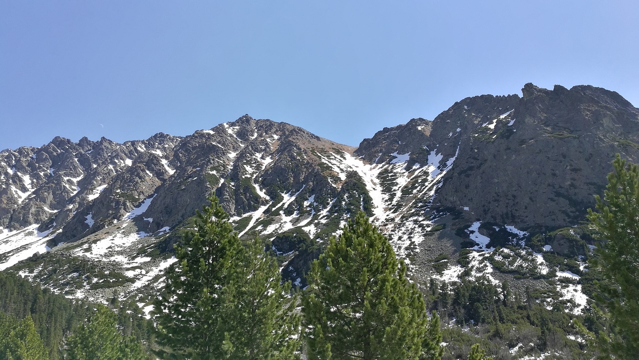 vysoké tatry  nature  tatry free photo