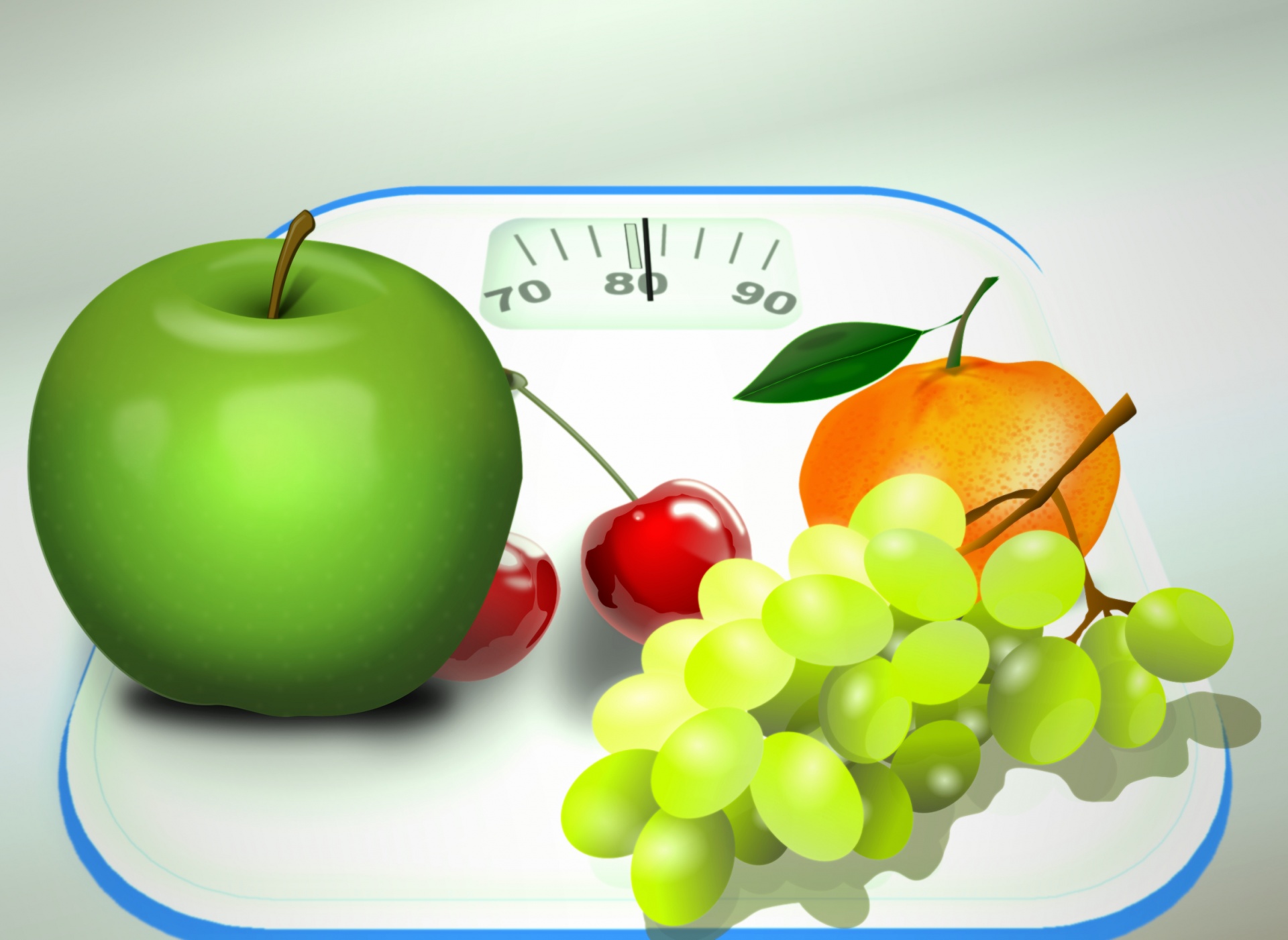diet nutrition scales free photo