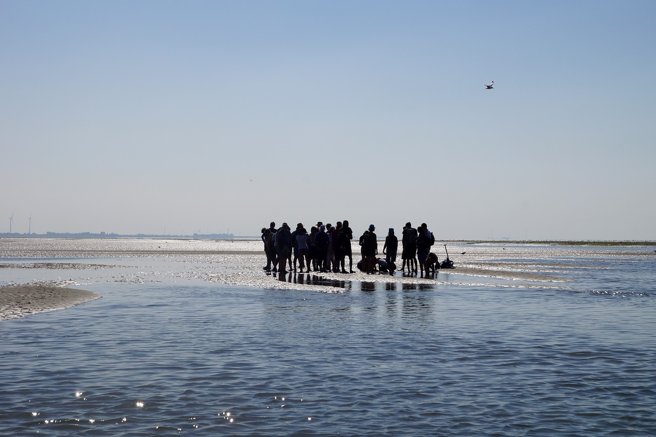 wadden sea  watt hike  intertidal zone free photo