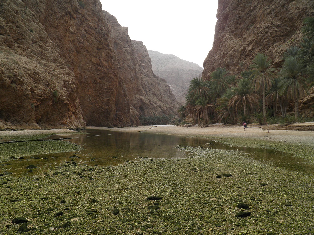 wadi oman nature free photo