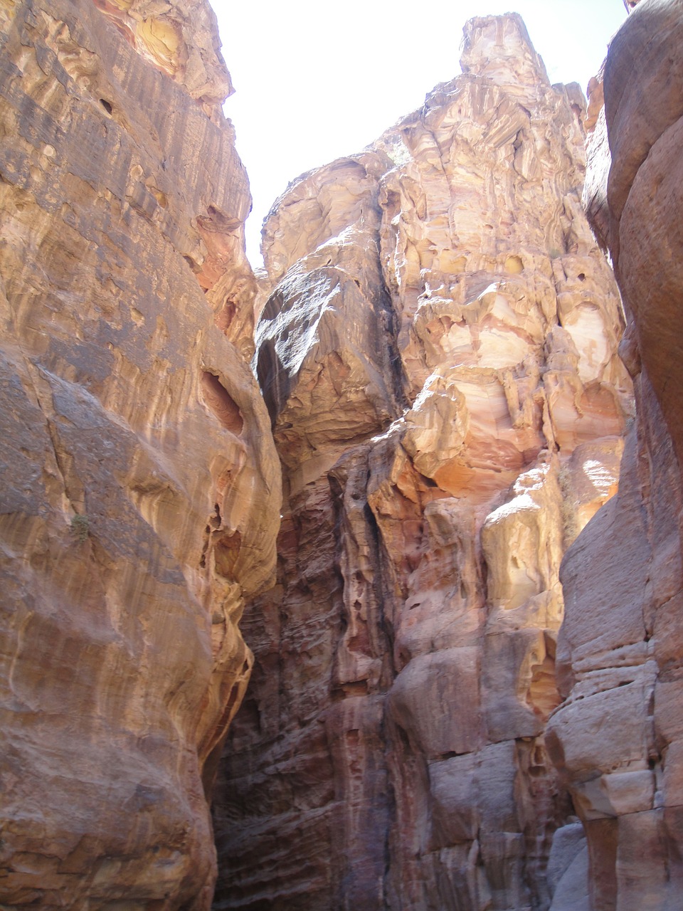 wadi mussa petra canyon free photo
