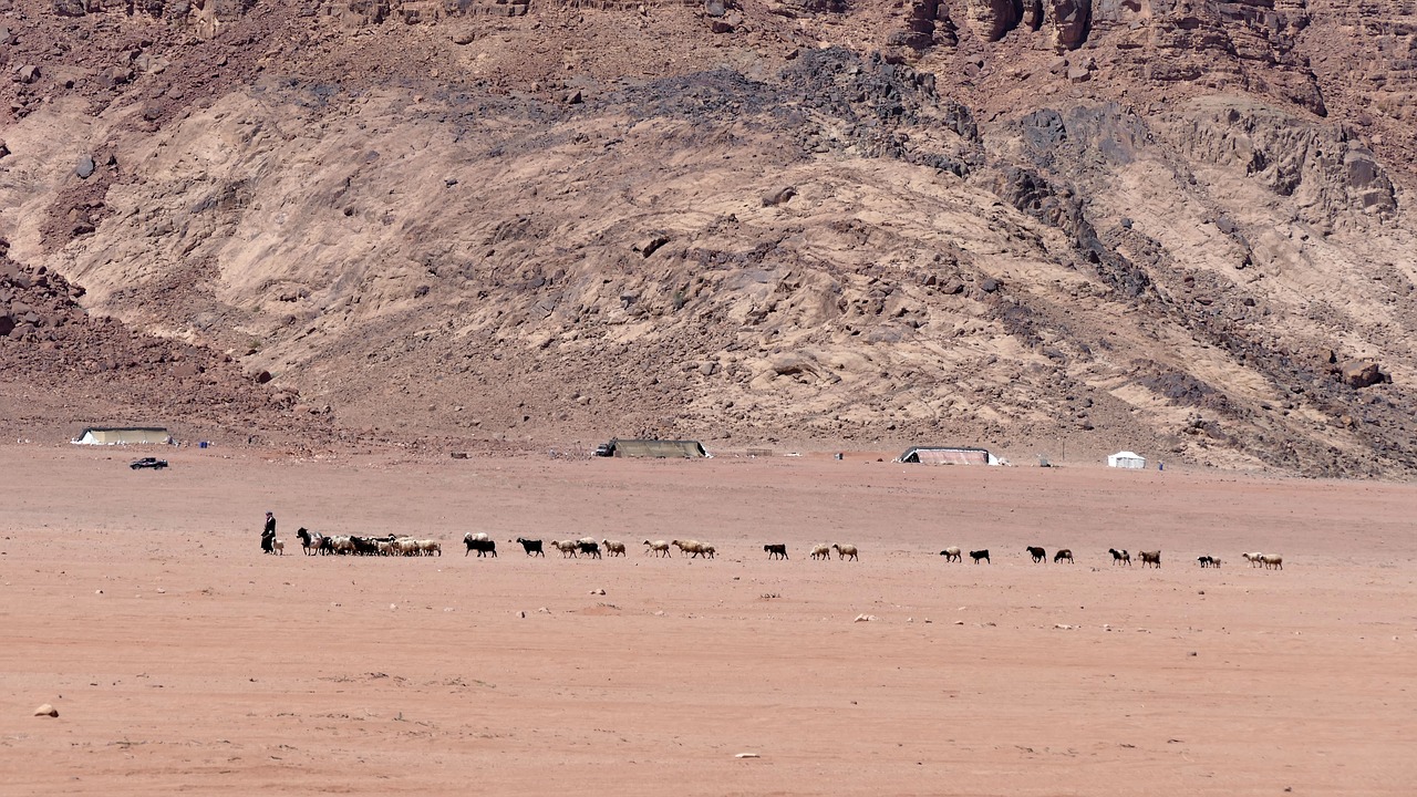 wadirum  agaba  desert free photo