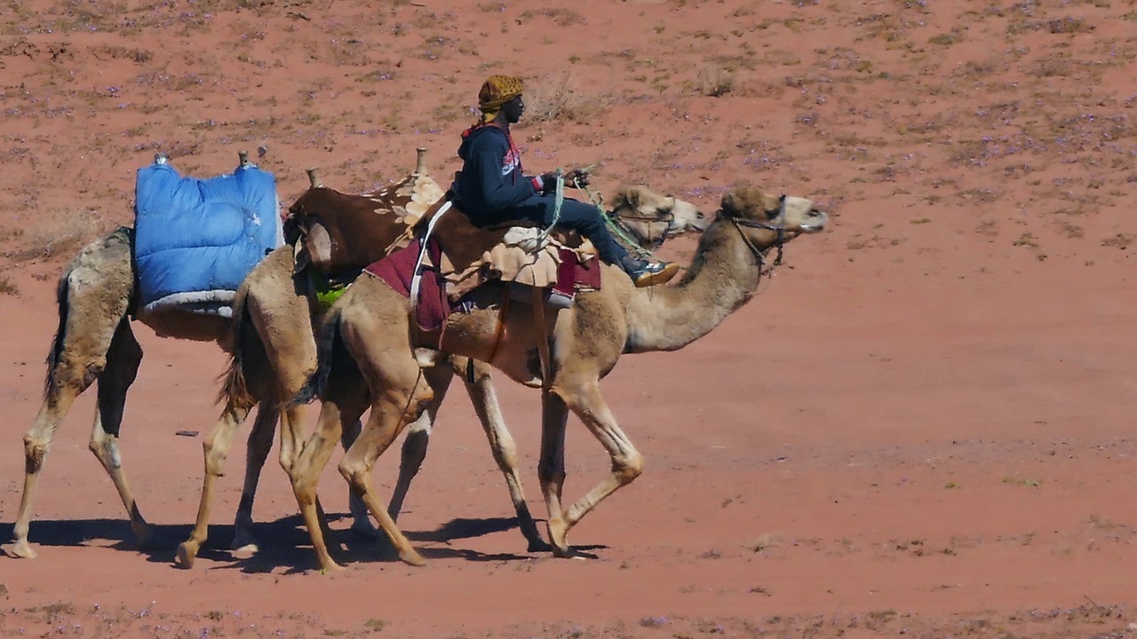 wadirum  agaba  desert free photo