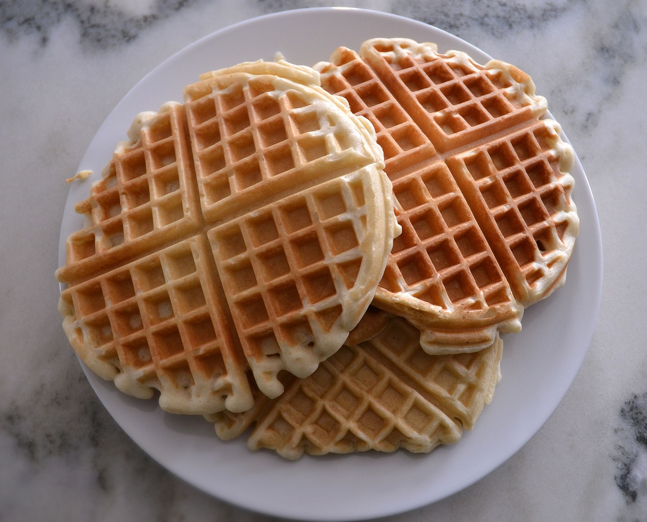 waffles  food  delicious free photo