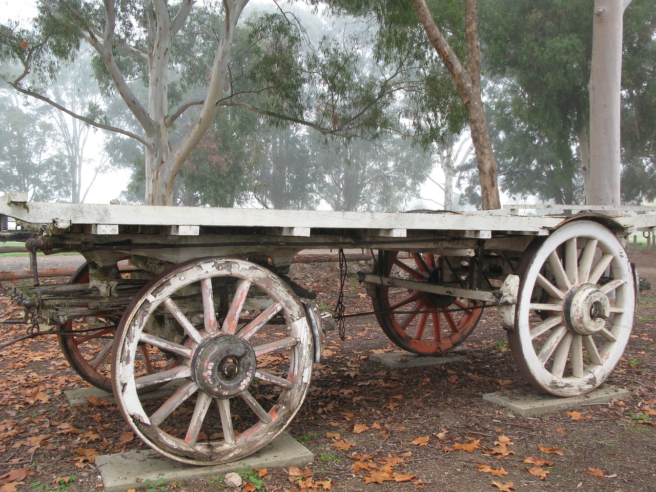 wagon australia bush free photo