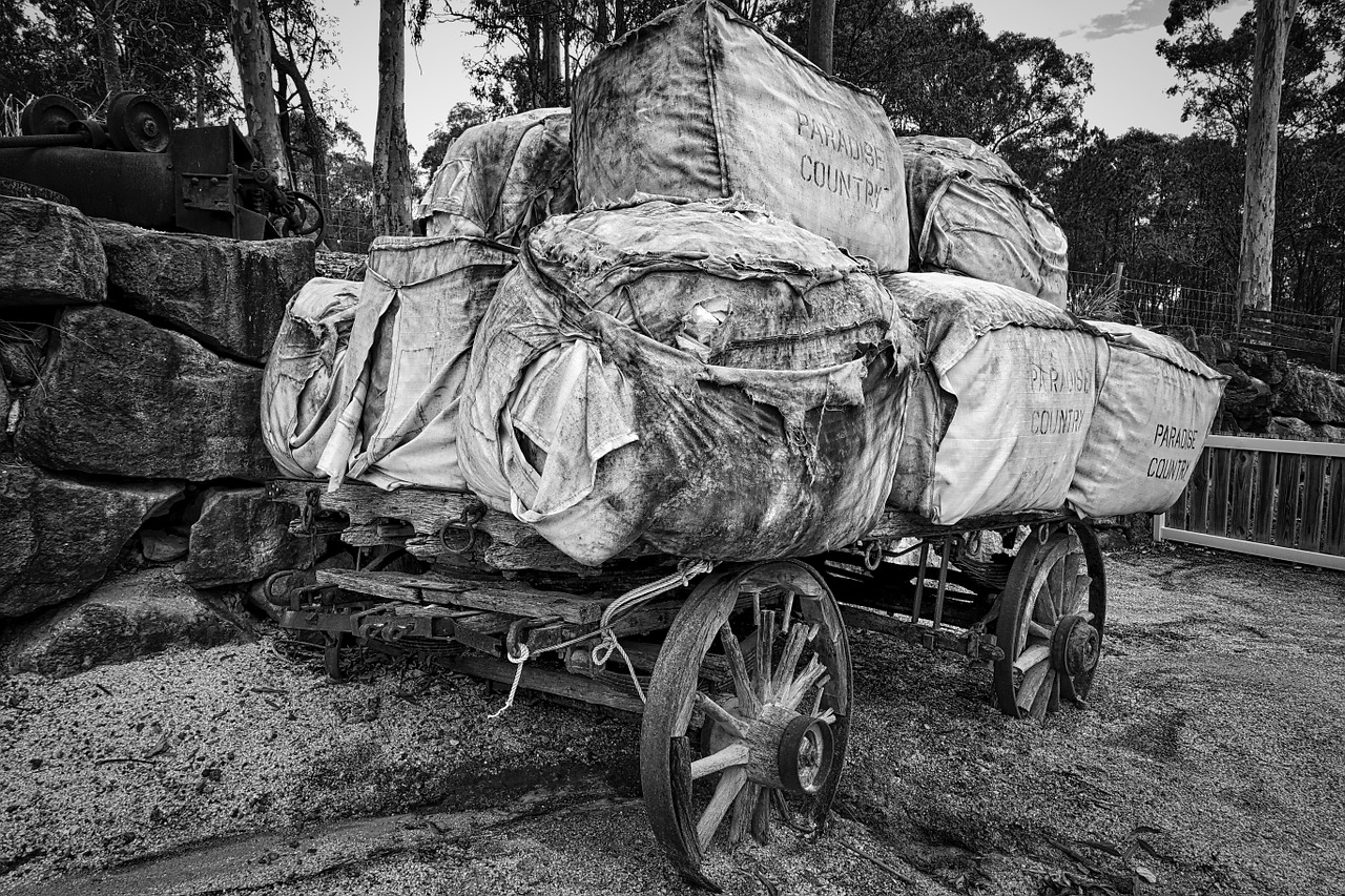 wagon wool bales free photo