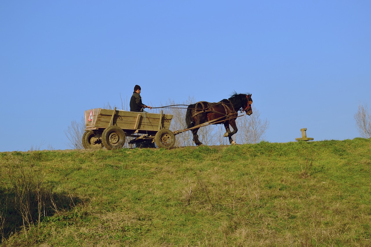 wagon countryside farm free photo