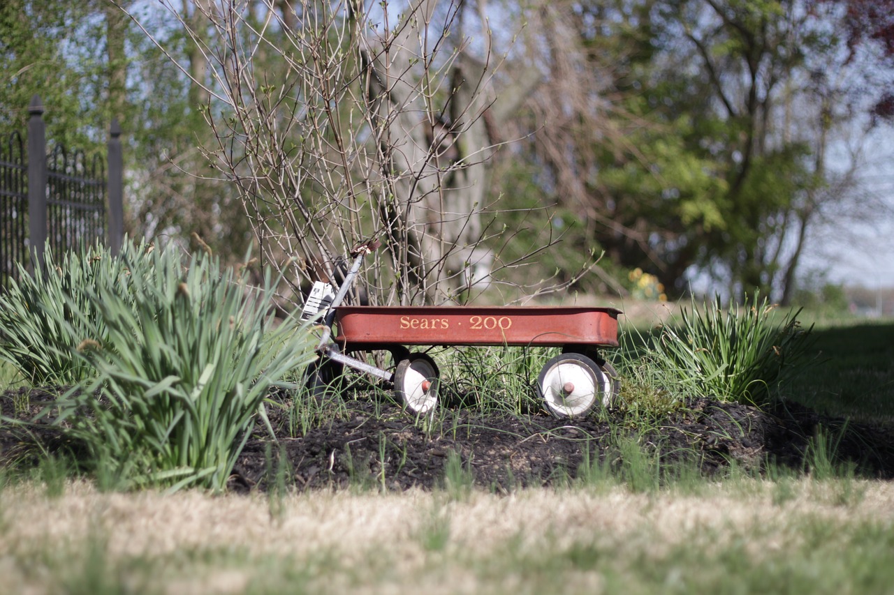 wagon garden old free photo