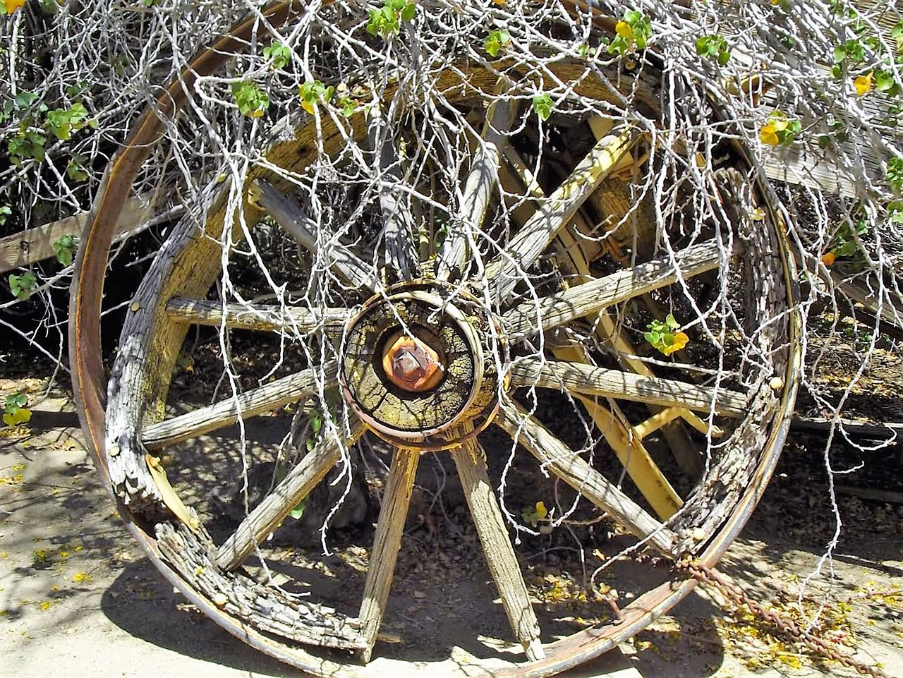 wagon wheel old free photo