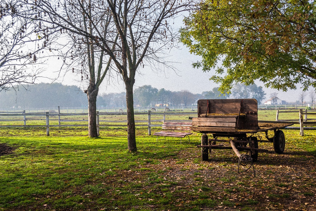 wagon countryside nature free photo