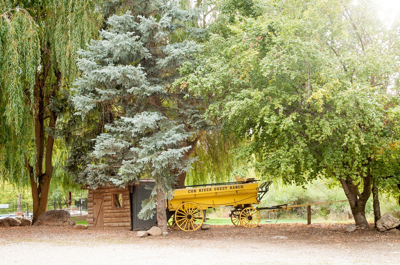 wagon nature vintage free photo