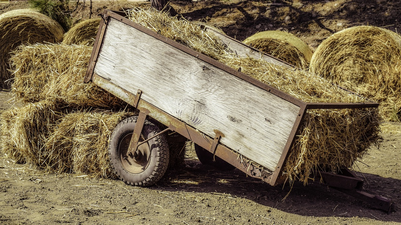 wagon bales hay free photo