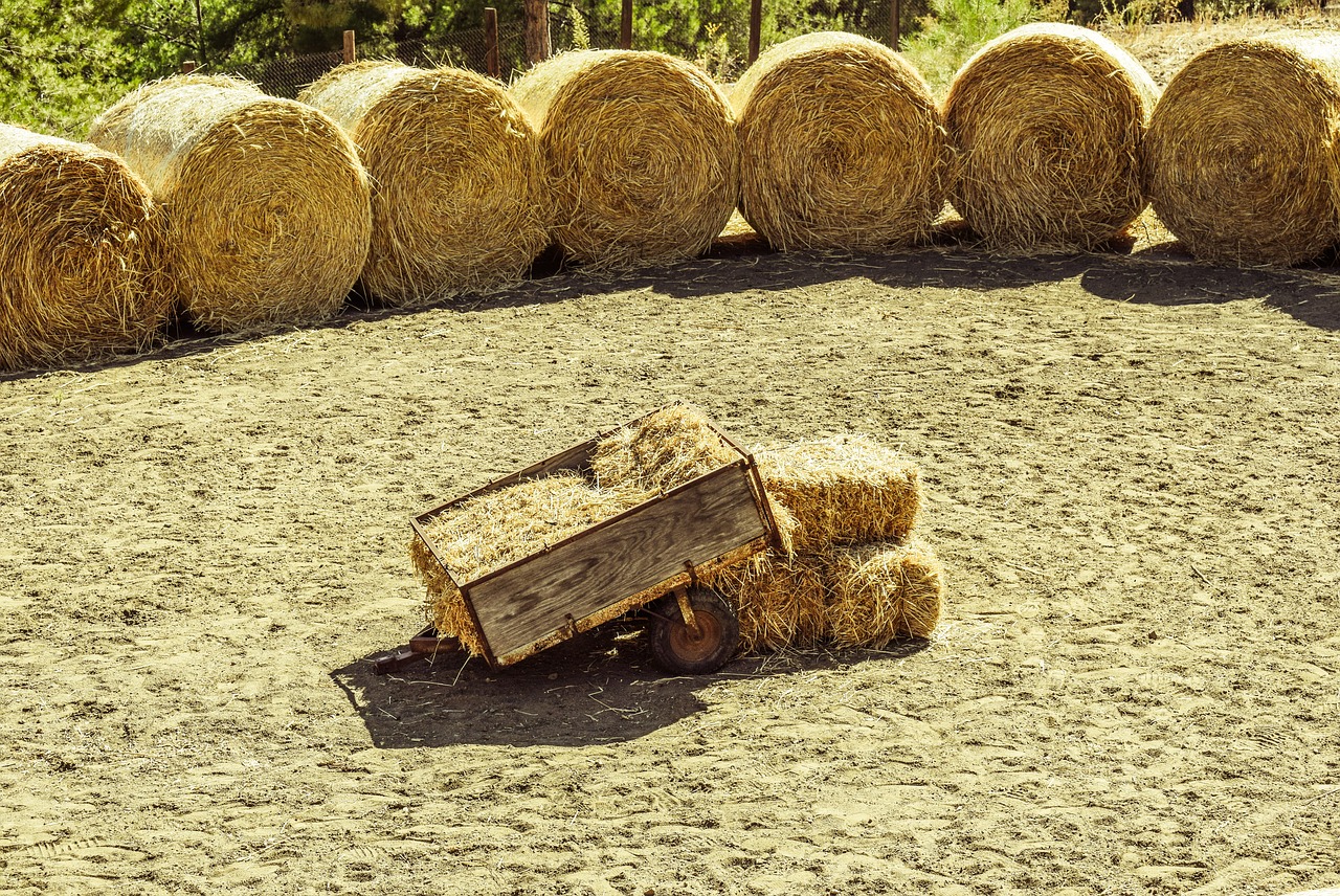 wagon bales hay free photo