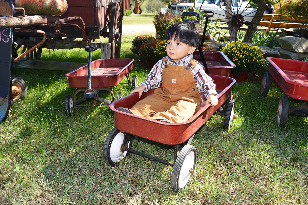 wagon  kid  happy free photo