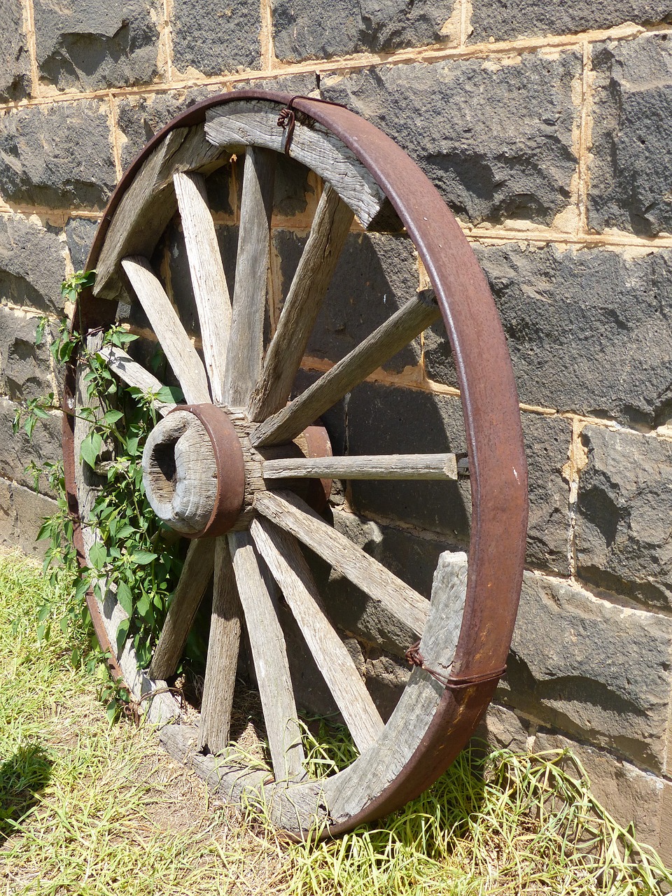 wagon wheel antique background free photo