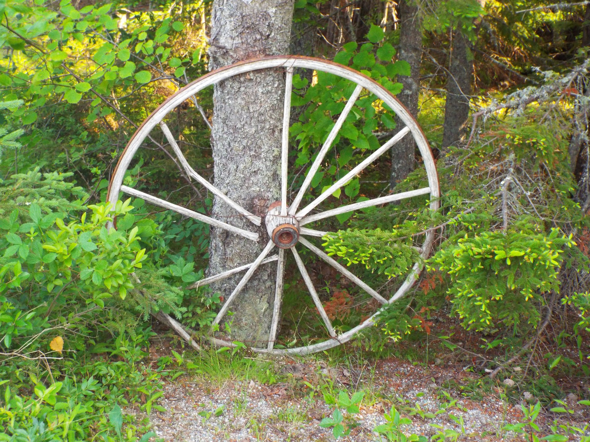 wagon wheel wheel wheels free photo