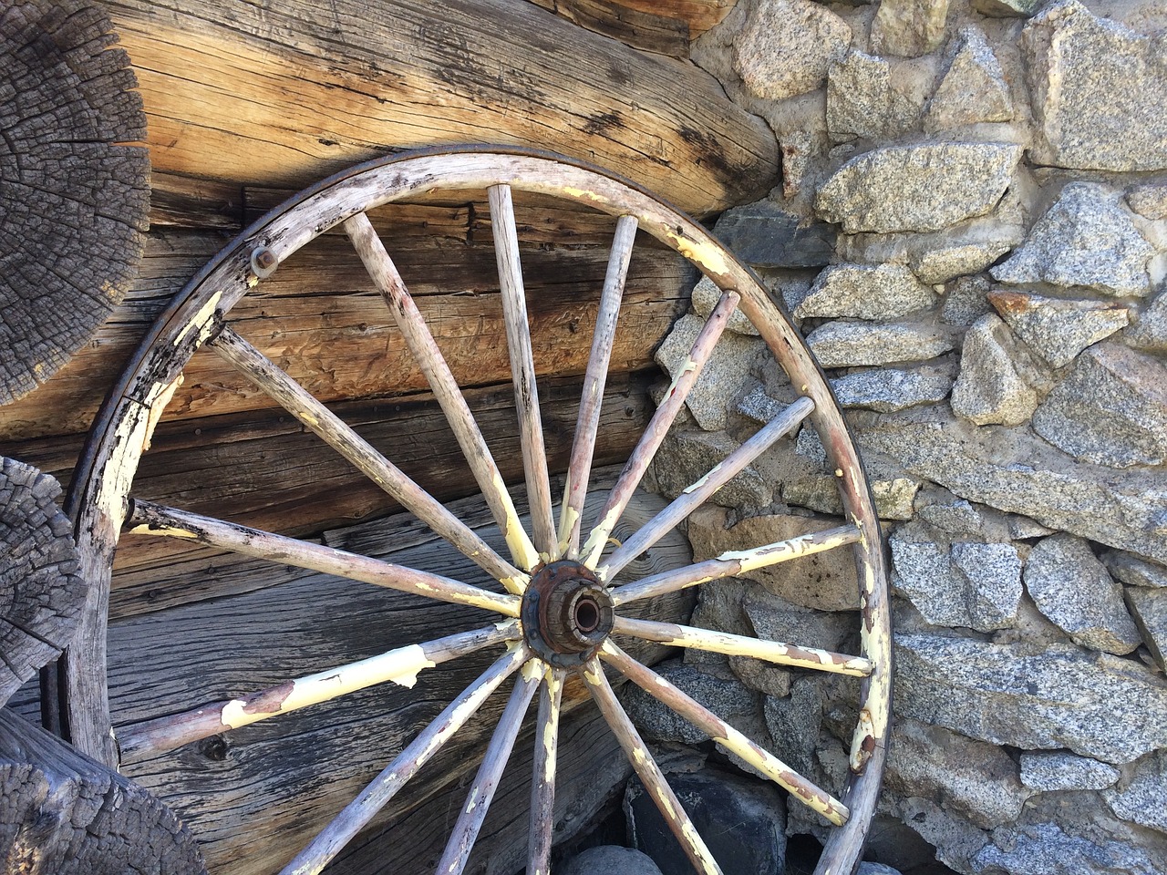 wagon wheel mammoth old free photo