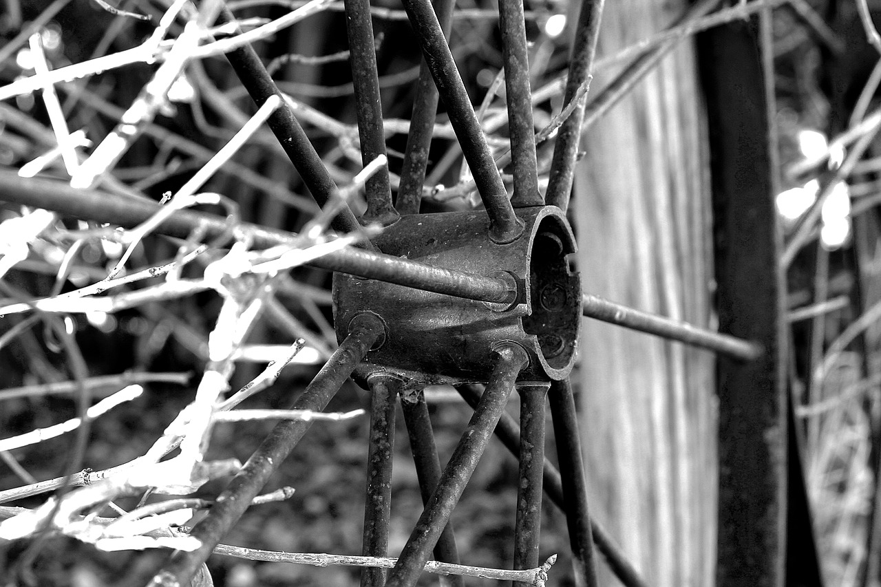wagon wheel black and white rustic free photo