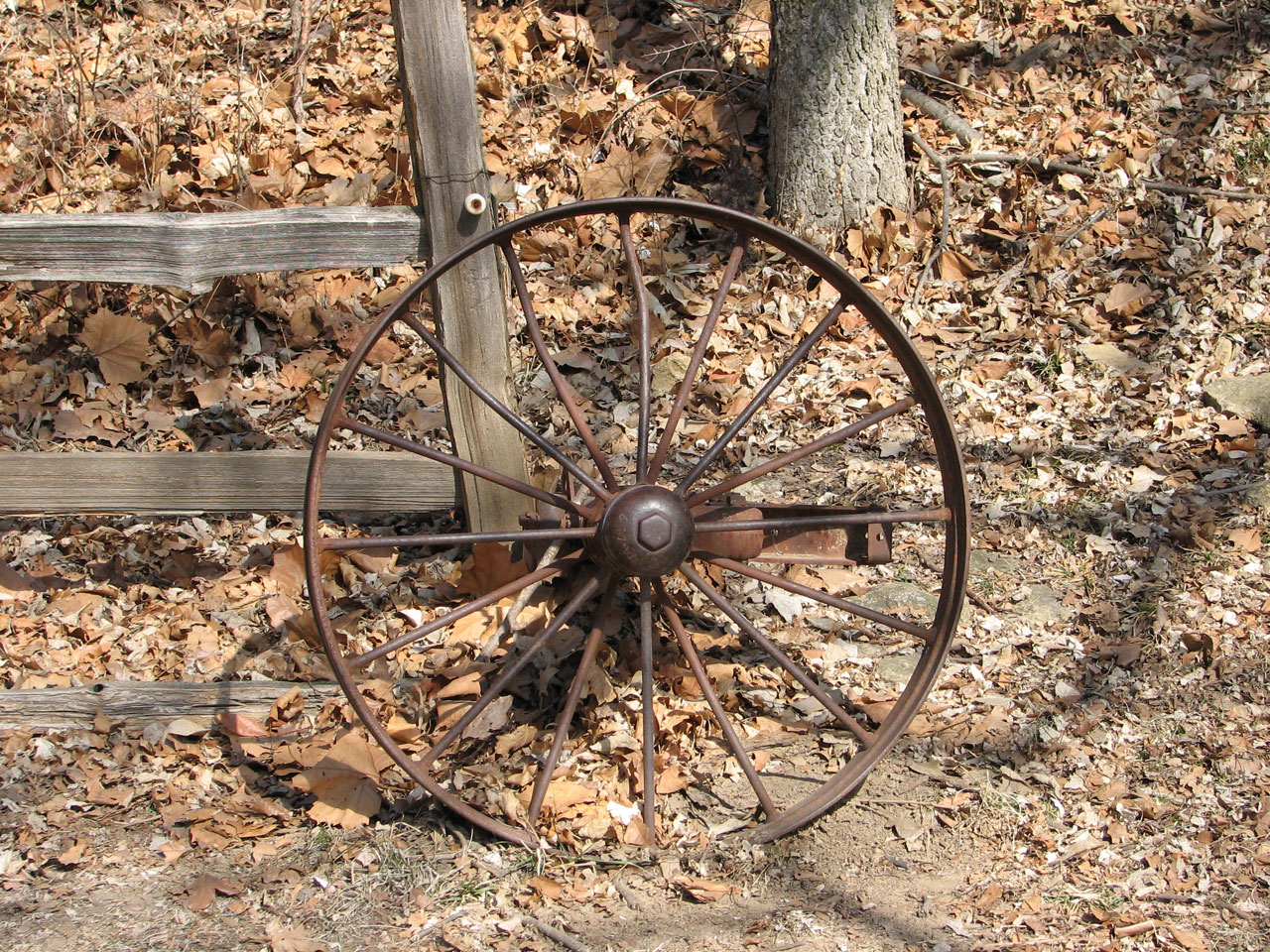 wagon wheel autumn free photo