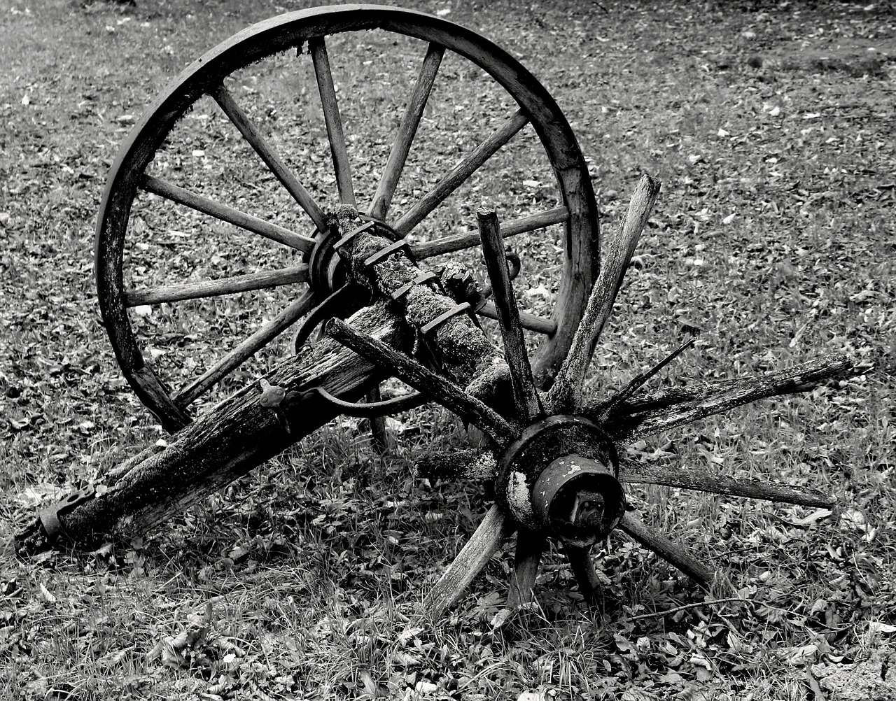 wagon wheel wheel wood free photo