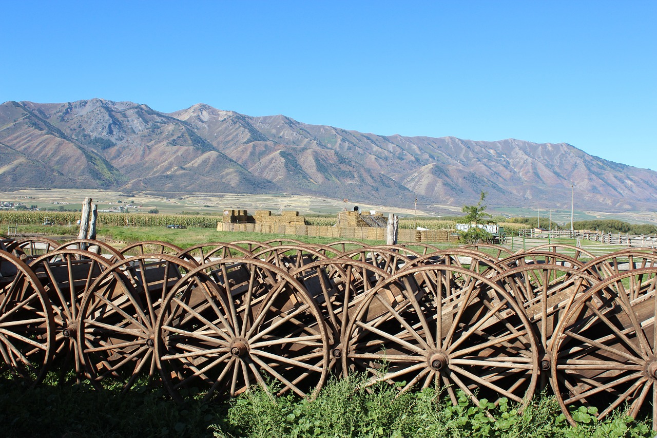 wagon wheel farm rustic free photo