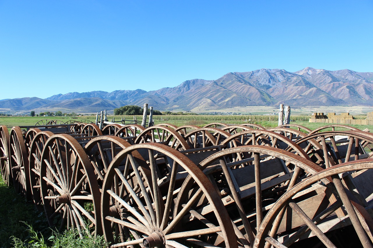 wagon wheel farm rustic free photo