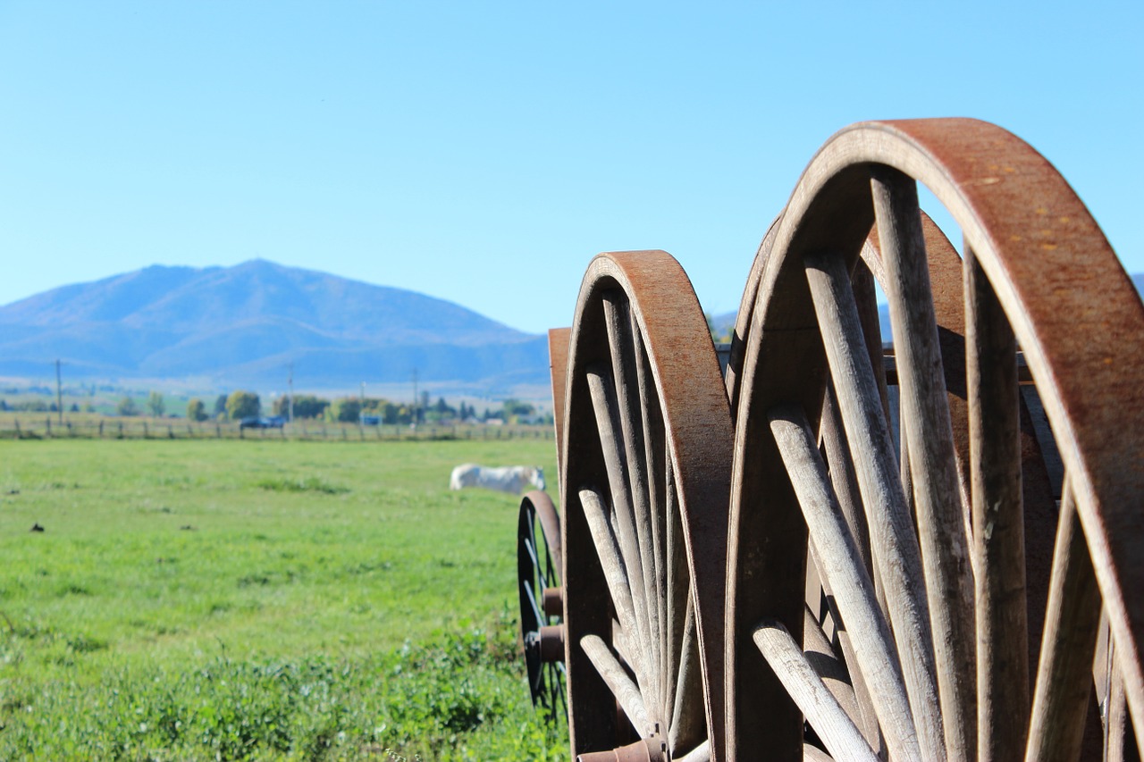 wagon wheel farm rustic free photo