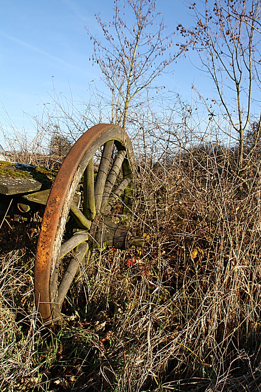 wagon wheel wheel old free photo