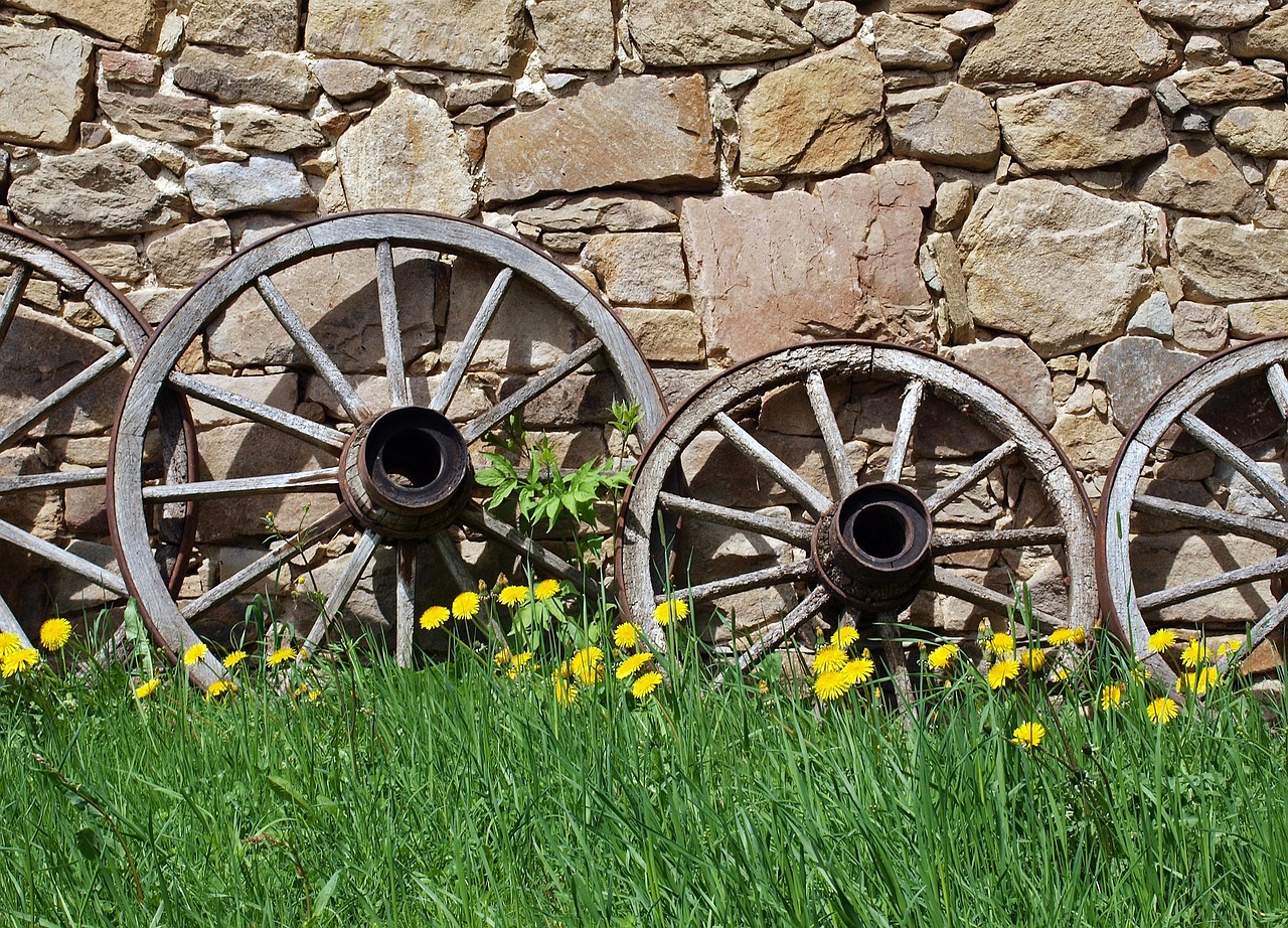 wagon wheel wheel wheels free photo